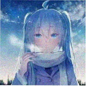 读者迟夏的头像